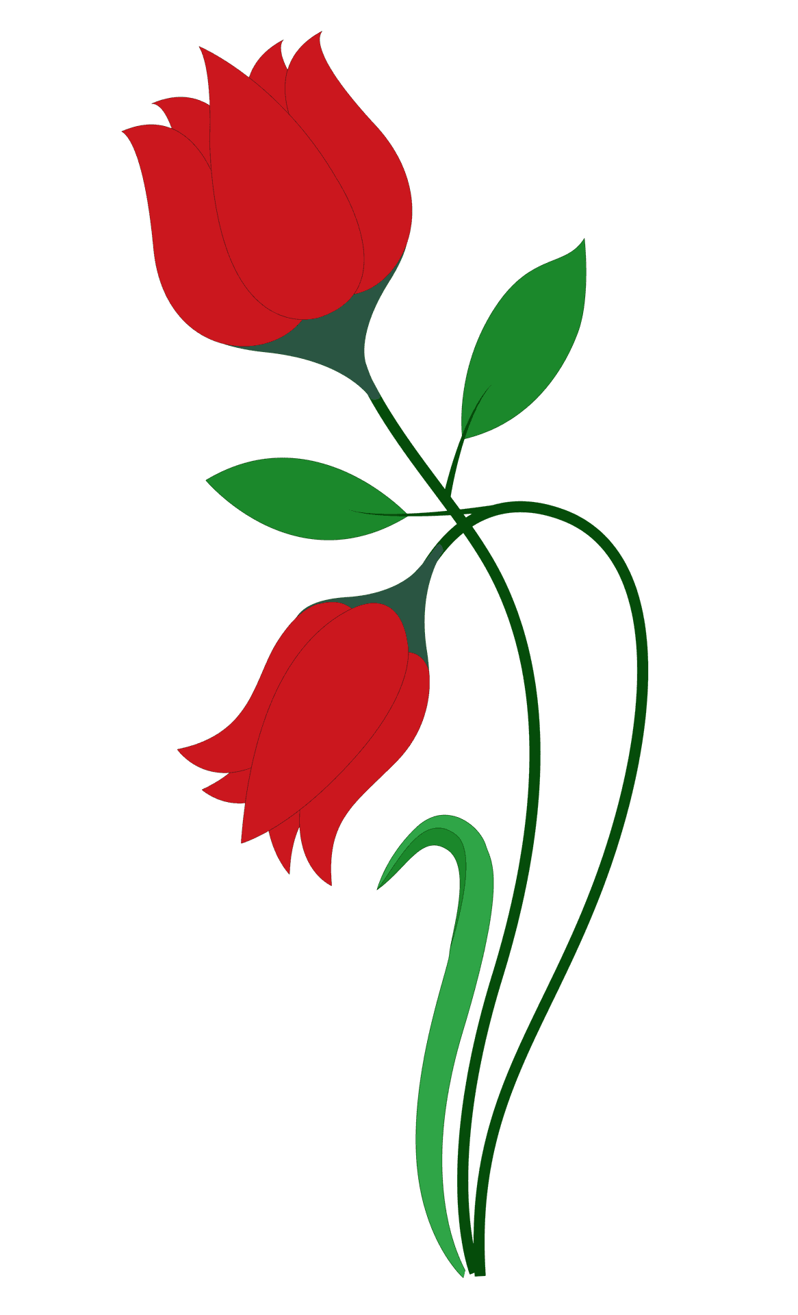 Red Rose Vector Art PNG image