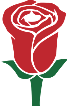 Red Rose Vector Art PNG image