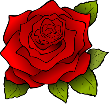 Red Rose Vector Art PNG image