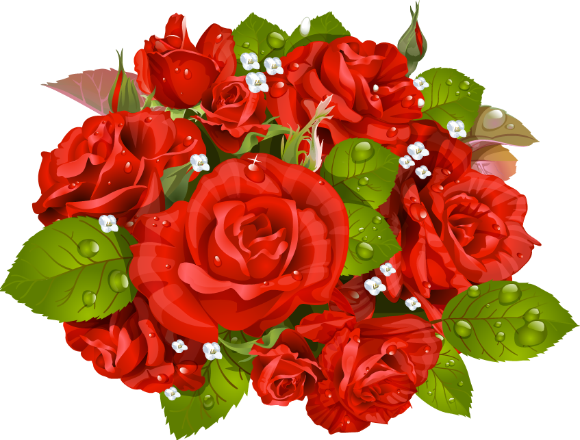 Red Rose Vector Bouquet PNG image