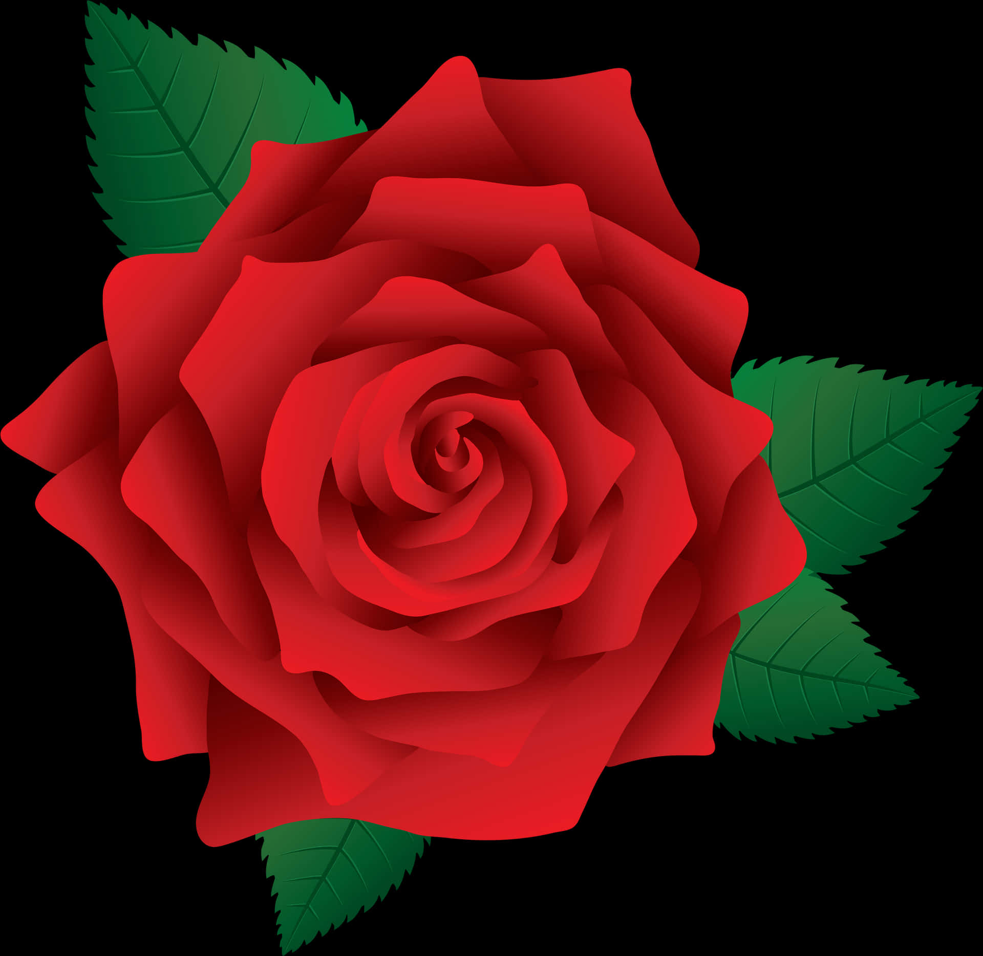 Red Rose Vector Illustration PNG image