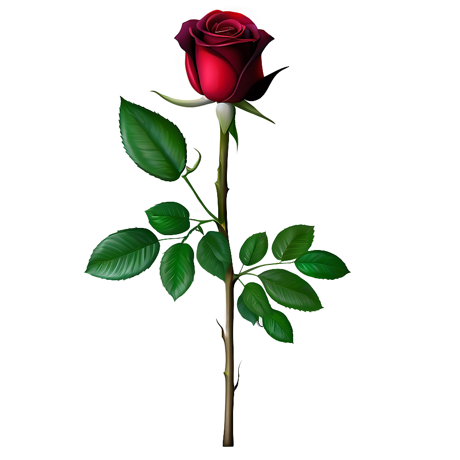 Red Rose With Leaves Png 84 PNG image