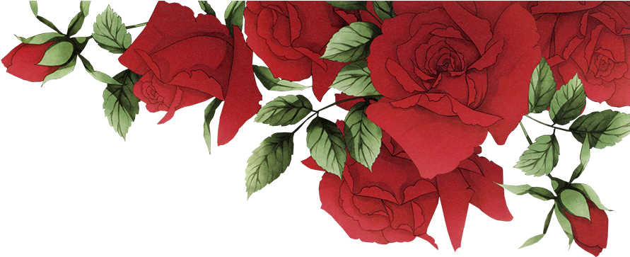 Red Roses Vintage Illustration PNG image