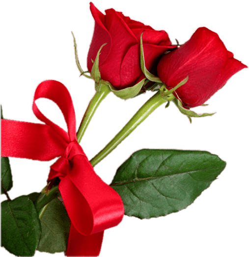 Red Roseswith Ribbon PNG image