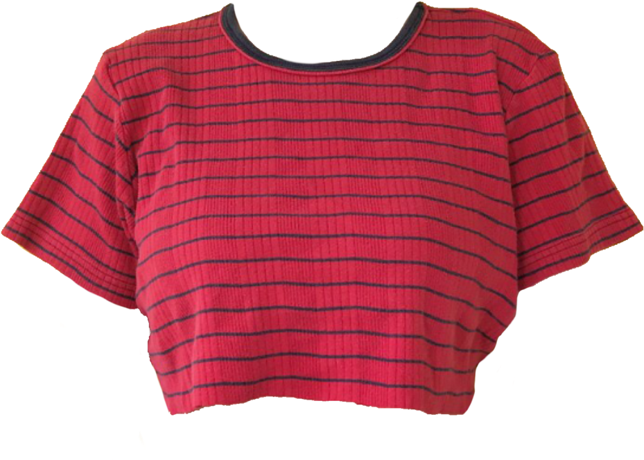 Red Striped Cropped Blouse PNG image