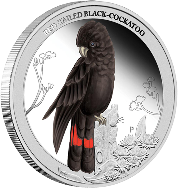 Red Tailed Black Cockatoo Coin PNG image