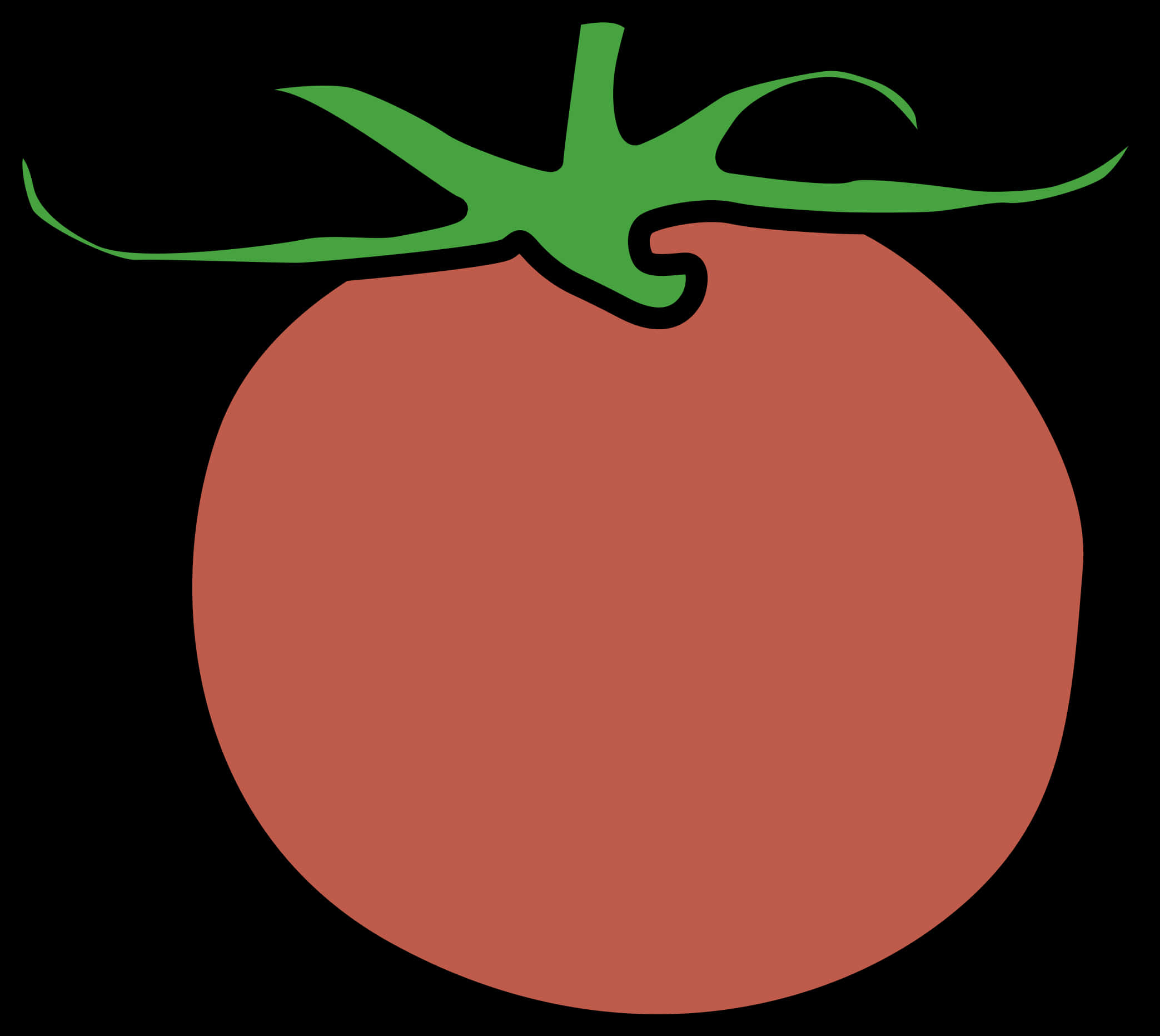 Red Tomato Vector Illustration PNG image