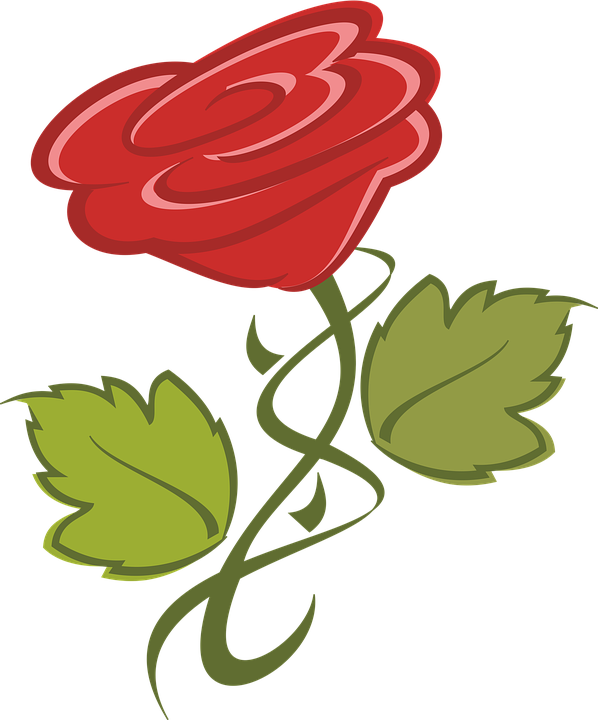 Red Vector Rose Illustration PNG image