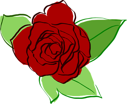 Red Vector Rose Illustration PNG image