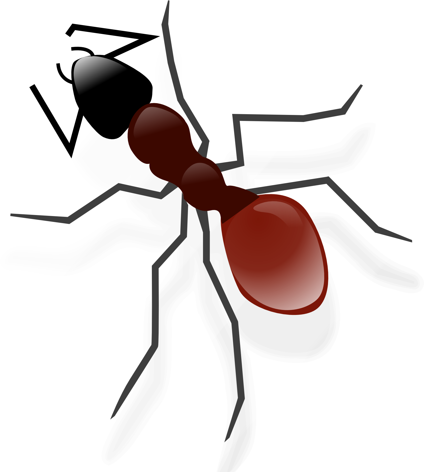 Redand Black Ant Illustration PNG image