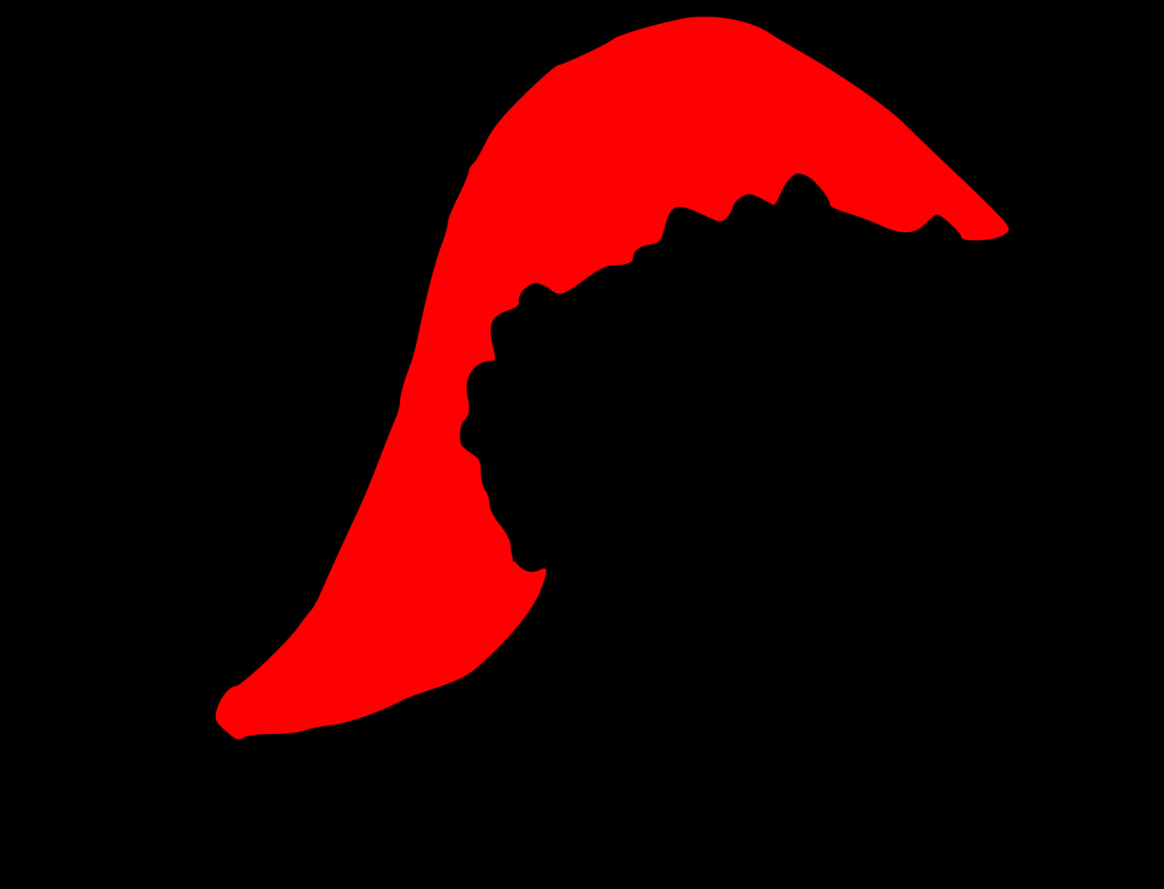 Redand Black Santa Hat Silhouette PNG image