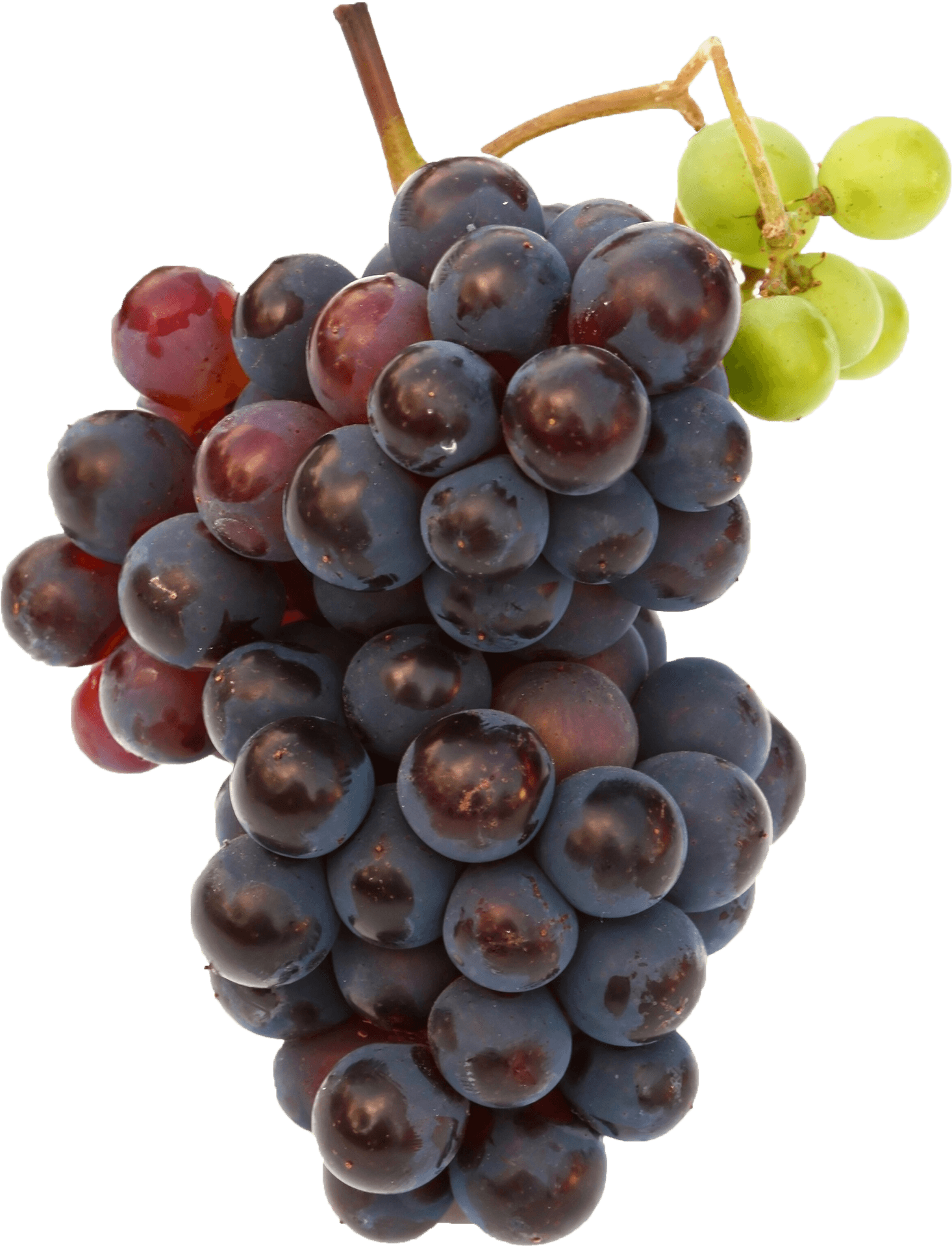 Redand Green Grapes Cluster.png PNG image