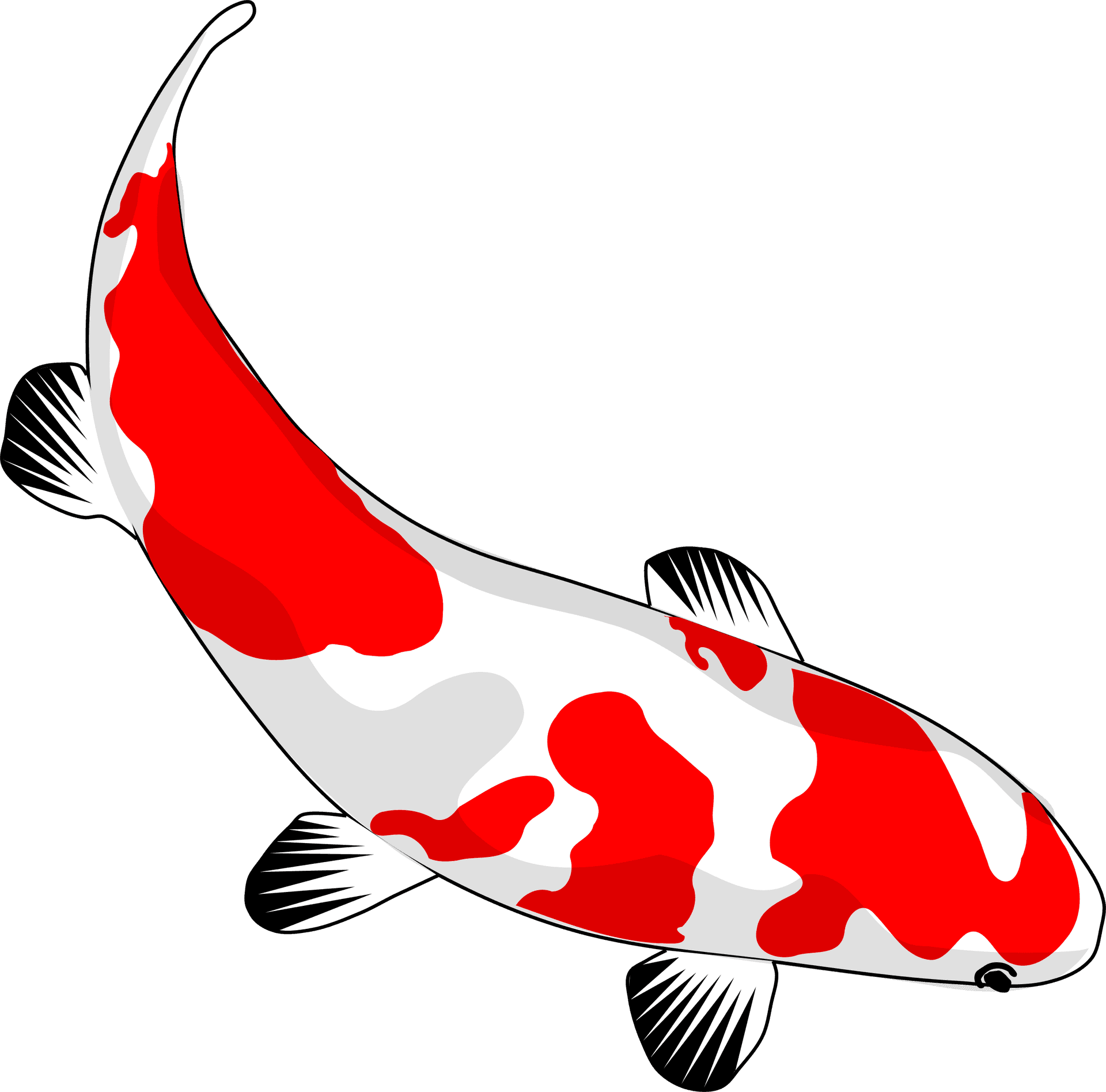 Redand White Koi Fish Illustration PNG image