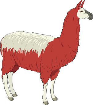 Redand White Llama Illustration PNG image