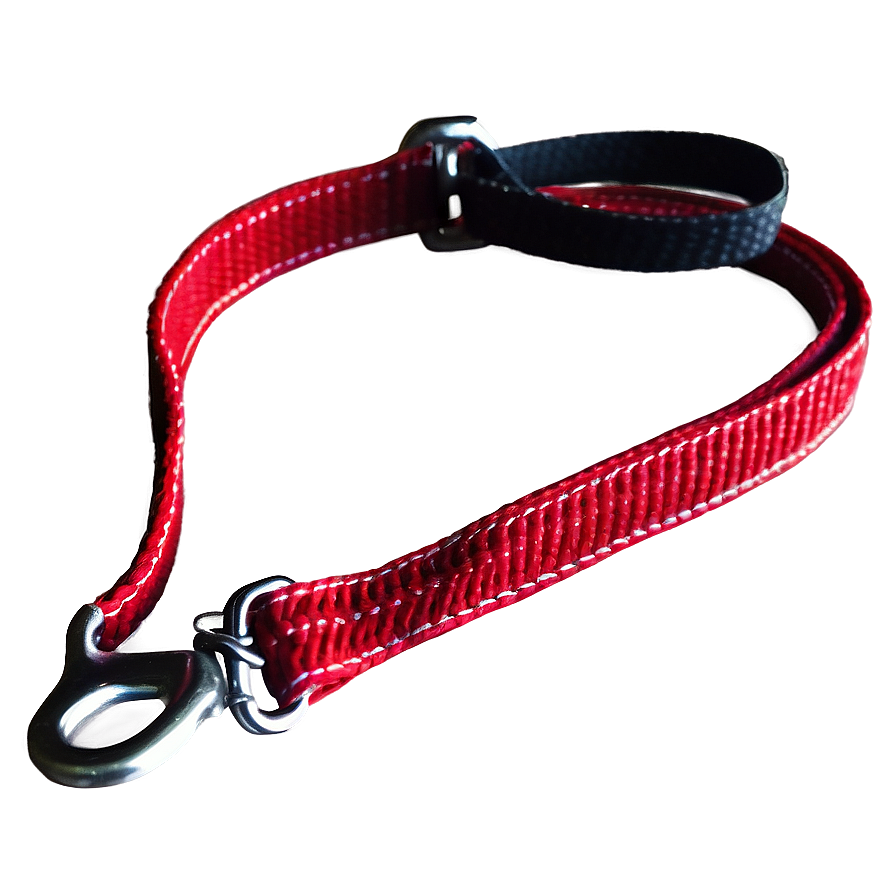 Reflective Thread Dog Leash Png 06132024 PNG image