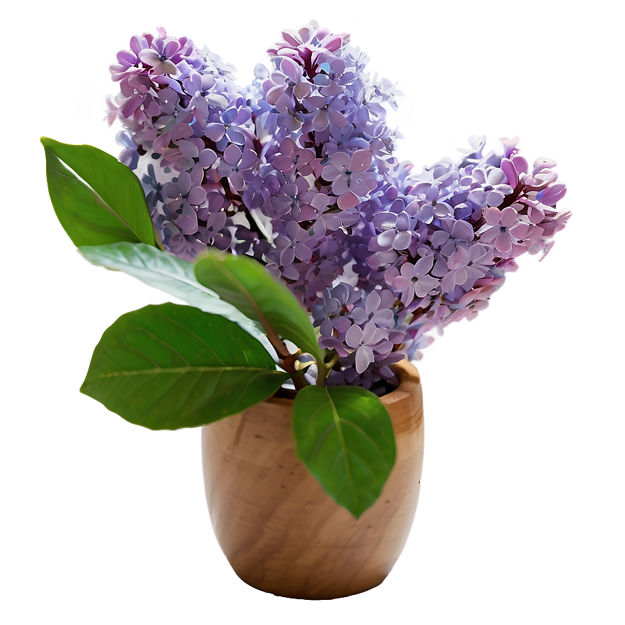 Refreshing Lilac Png Jaw60 PNG image