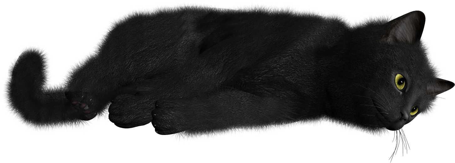 Relaxed Black Cat Lying Down PNG image