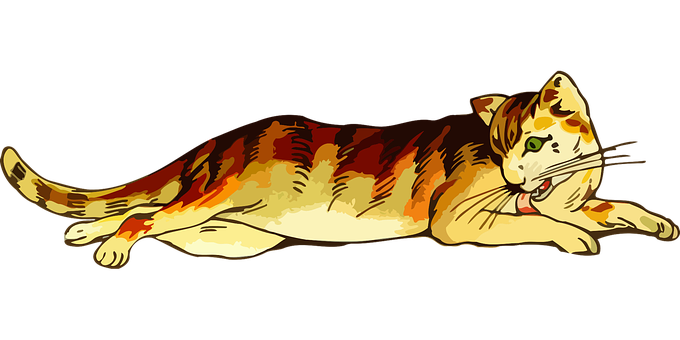 Relaxed Tabby Cat Illustration PNG image