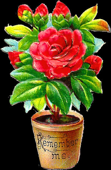Remember Me Red Rosein Pot PNG image