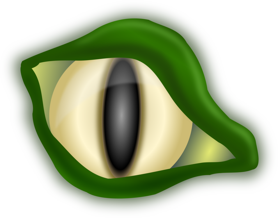 Reptilian_ Eye_ Closeup PNG image