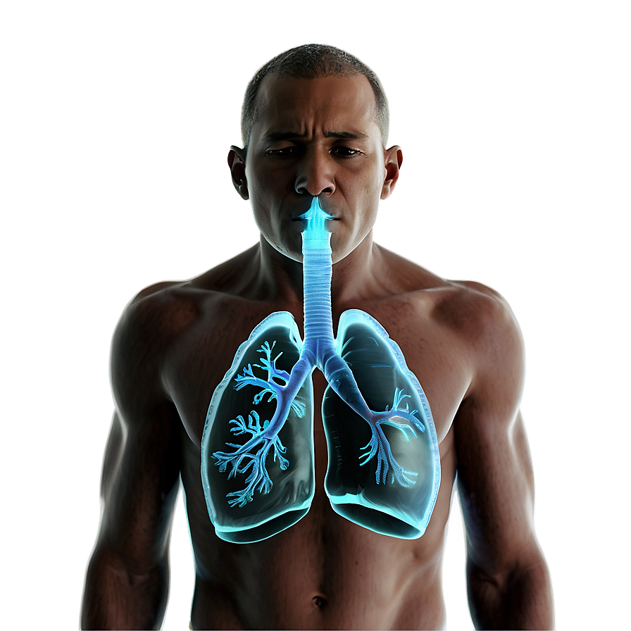 Respiratory Diseases Explained Png 06132024 PNG image