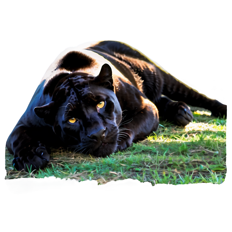 Resting Panther Png Luc50 PNG image