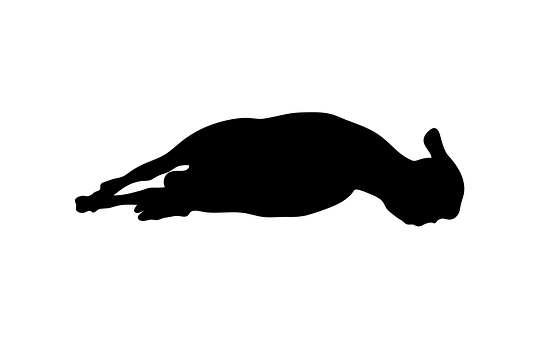 Resting Sheep Silhouette.jpg PNG image