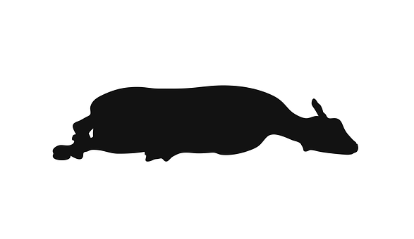 Resting Sheep Silhouette PNG image