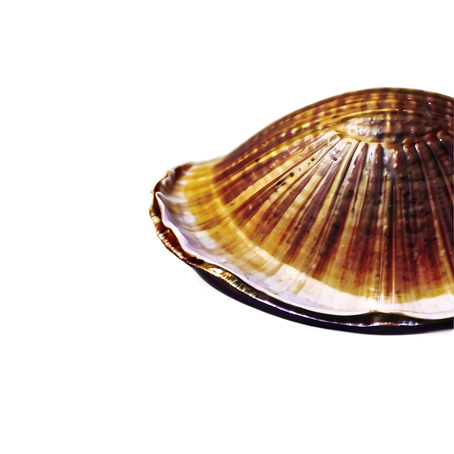 Retro Clam Poster Design Png Vhd PNG image