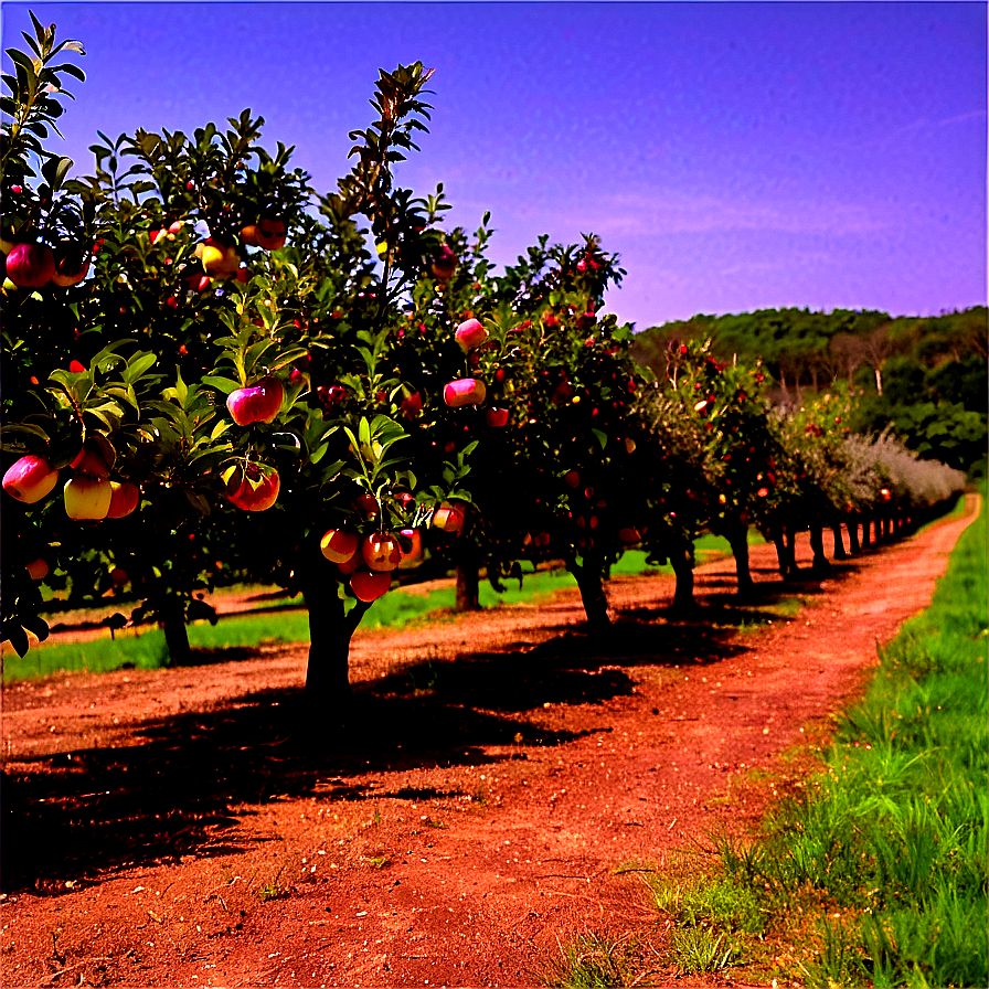 Rhode Island Apple Orchard Png Wdf PNG image