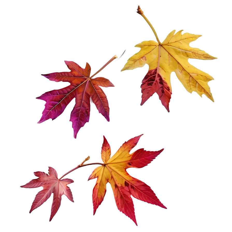 Rhode Island Autumn Leaves Png 06202024 PNG image