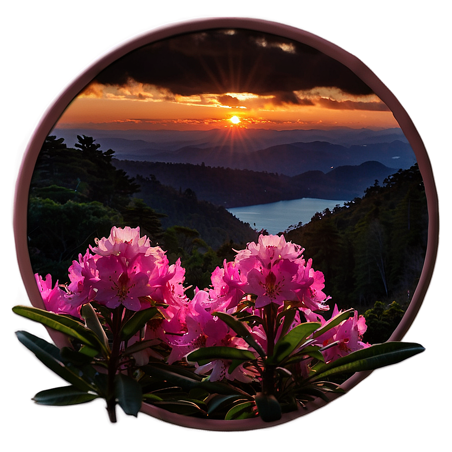 Rhododendron Sunset Png 06282024 PNG image