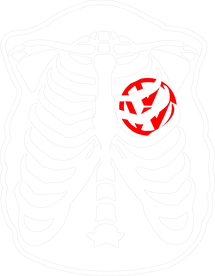 Ribcage Womb Illustration PNG image