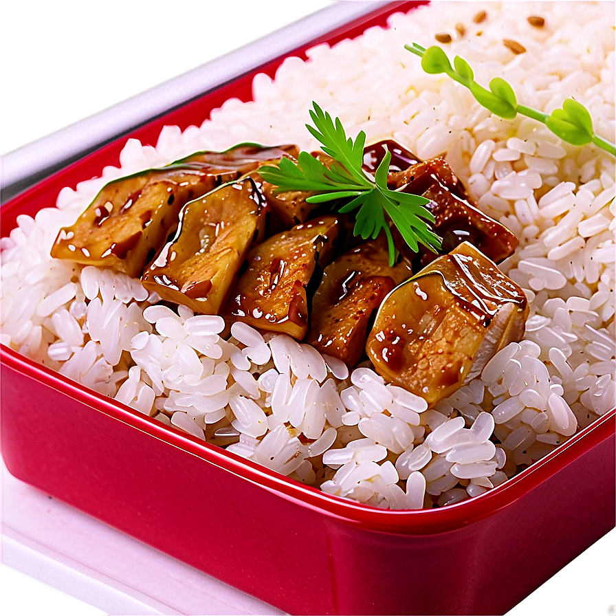 Rice Bento Png 05242024 PNG image