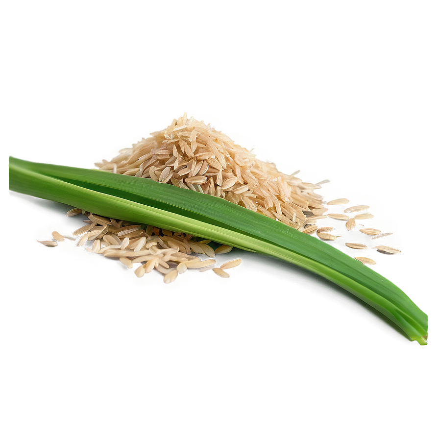 Rice Bran Png 31 PNG image