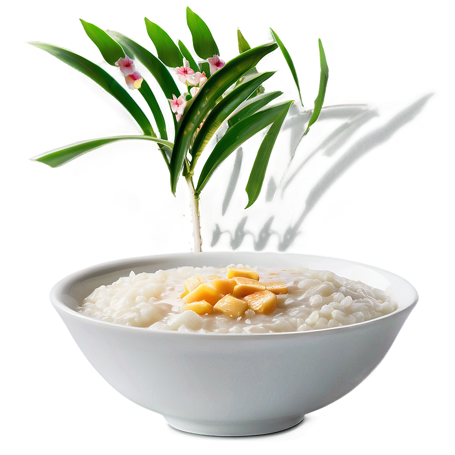 Rice Porridge Png Pua31 PNG image