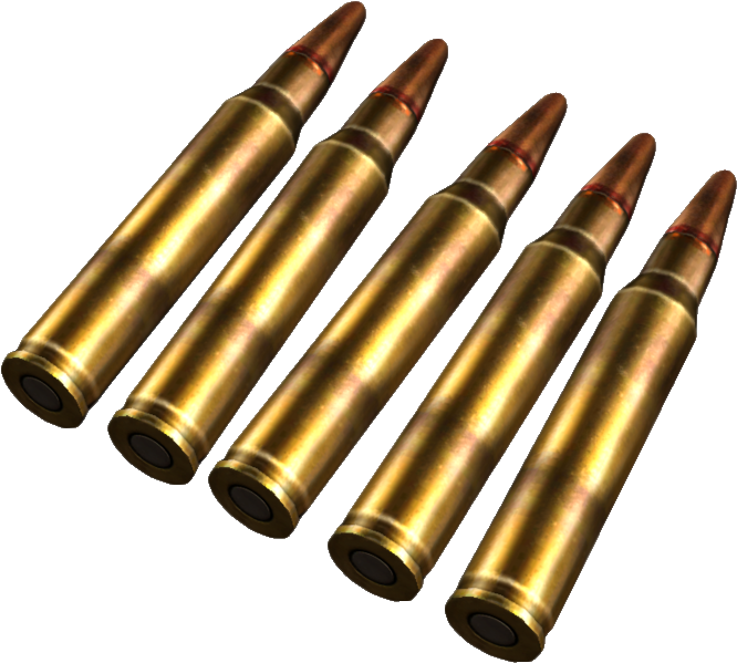 Rifle Ammunition Array PNG image