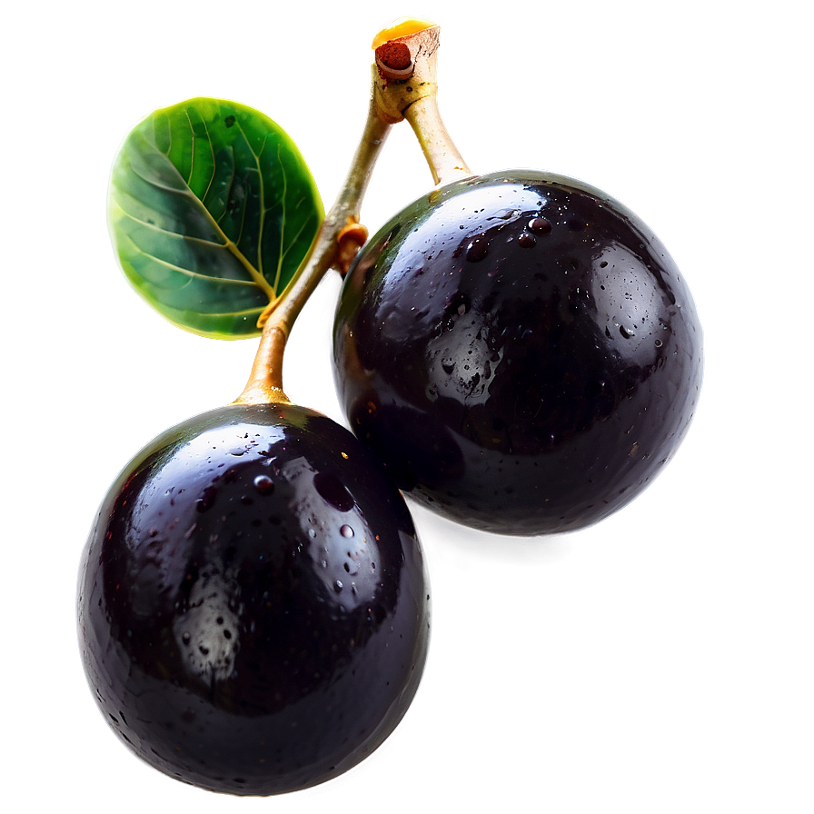 Ripe Black Olives Png 11 PNG image