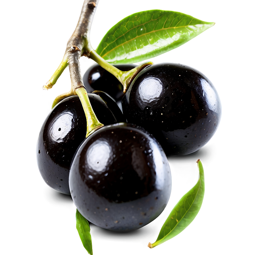 Ripe Black Olives Png 98 PNG image