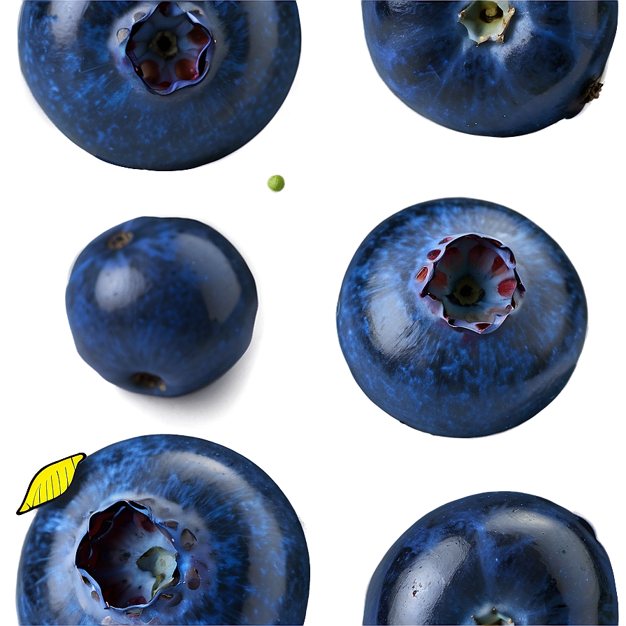 Ripe Blueberry Selection Png Khk19 PNG image