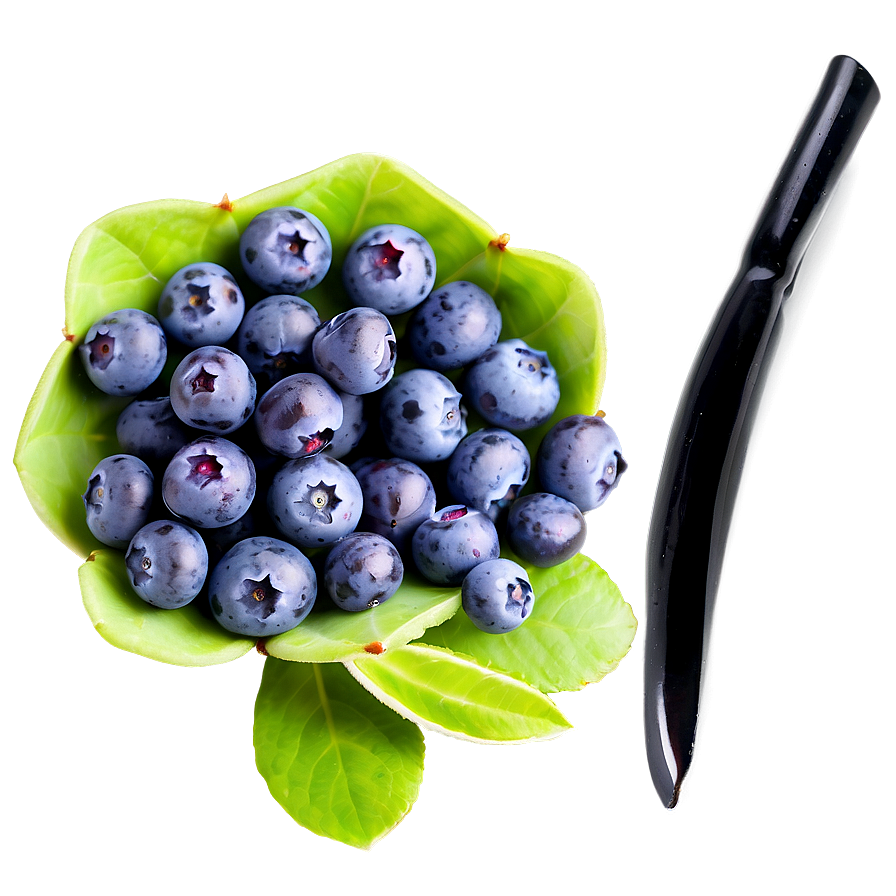 Ripe Blueberry Selection Png Wna PNG image