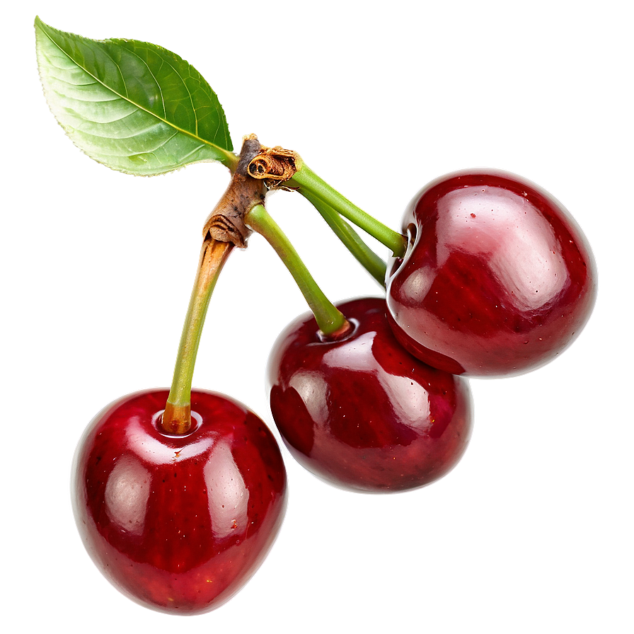 Ripe Cherry Fruit Png 05212024 PNG image