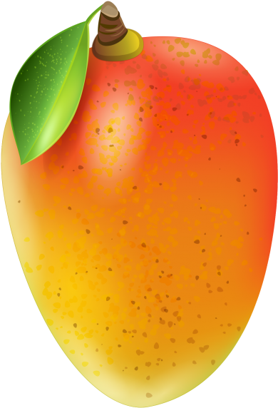 Ripe Mango Illustration PNG image