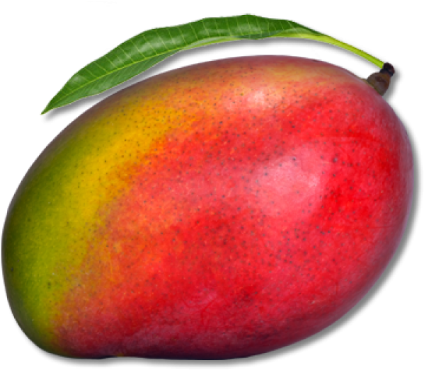 Ripe Mango With Leaf PNG image
