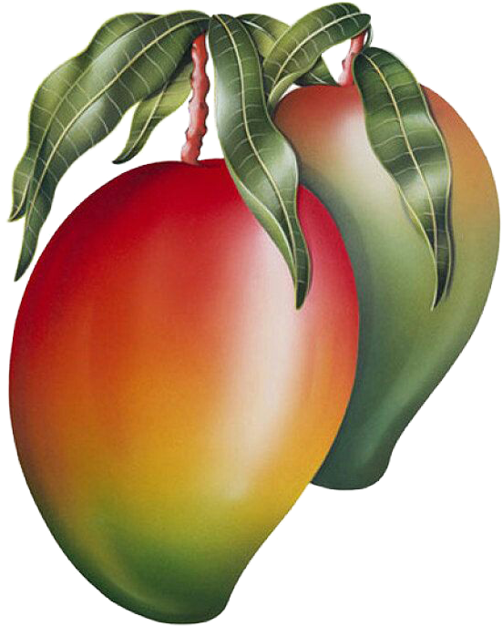 Ripe Mango With Leaves PNG image