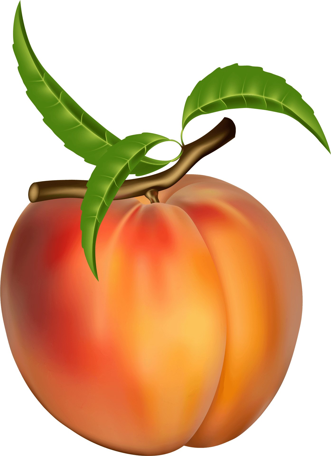 Ripe Peach With Leaves PNG image