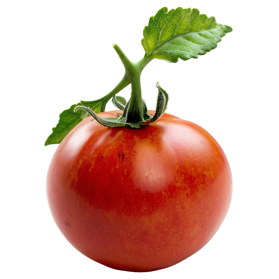 Ripe Red Tomato Png Qsn PNG image