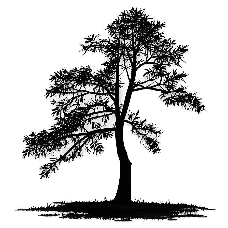 Riverbank Tree Silhouette Png 05252024 PNG image