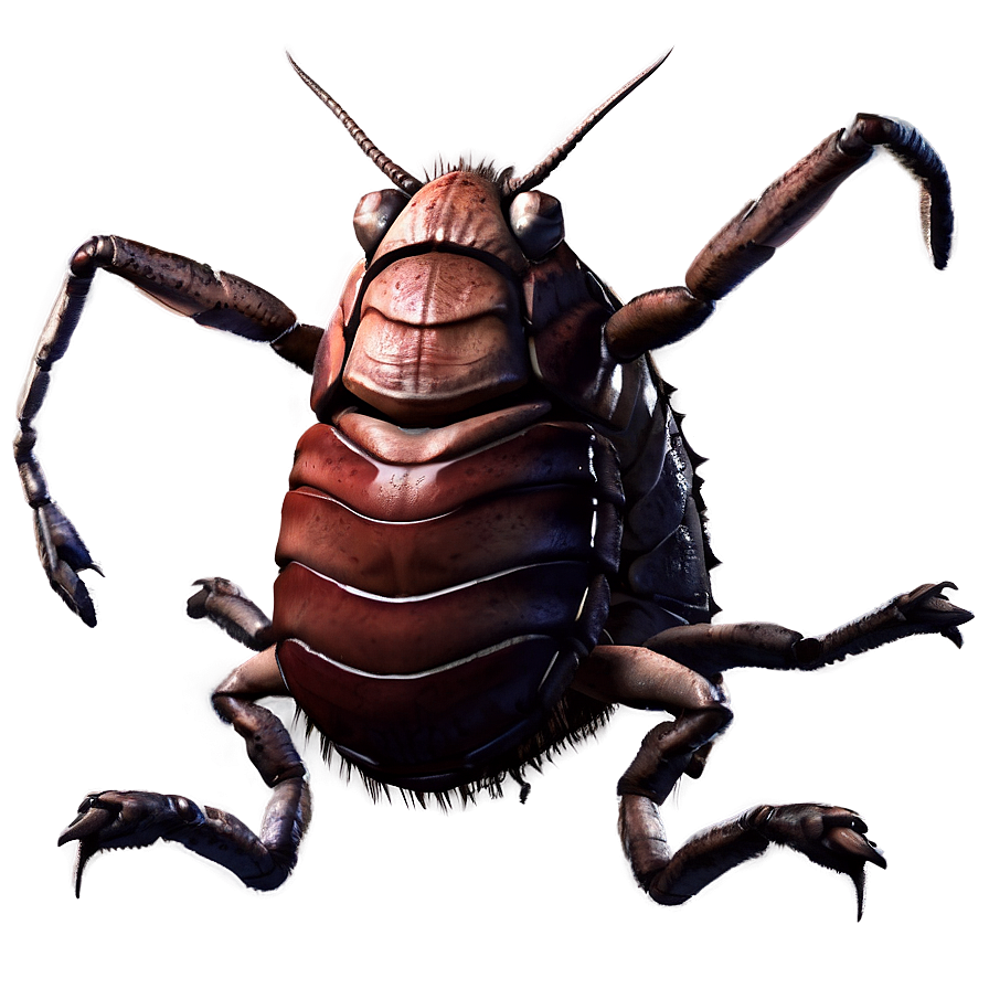 Roach Character Png Sbt PNG image