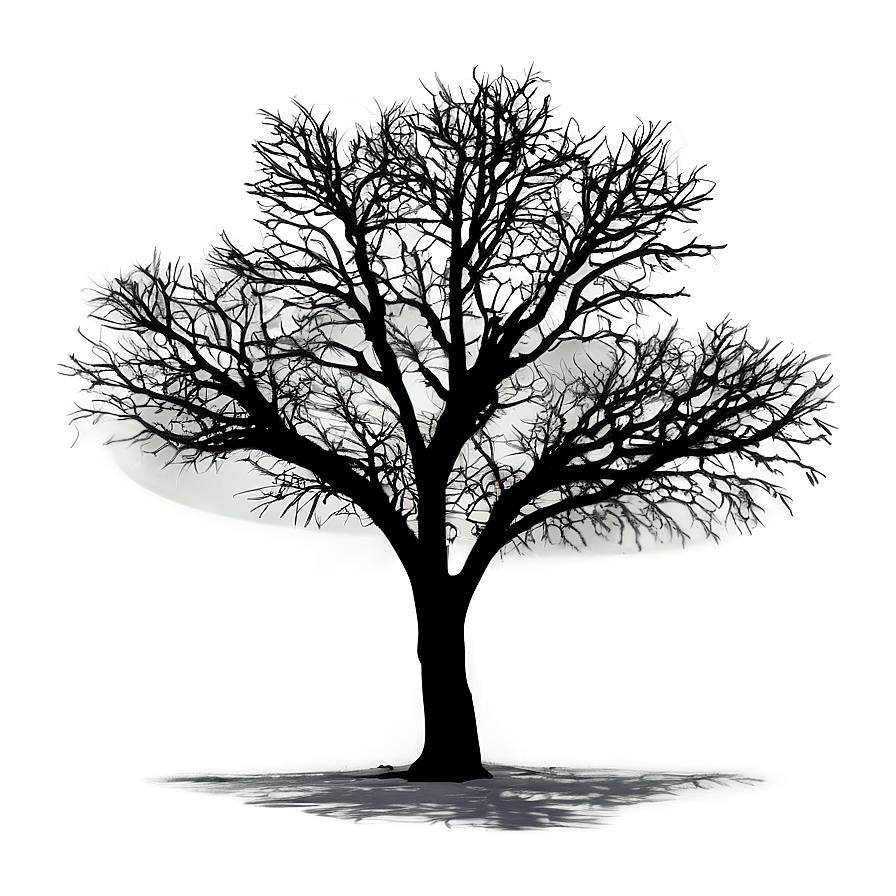 Roadside Tree Silhouette Png Awm PNG image